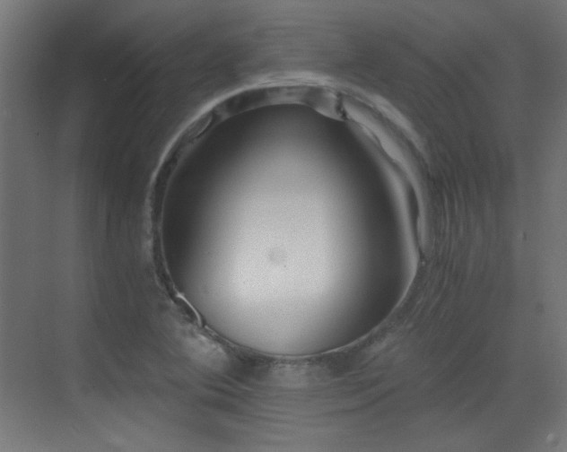 X0000073451364200607281210