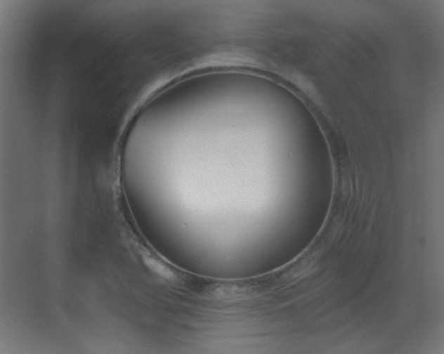 X0000073451366200607281210
