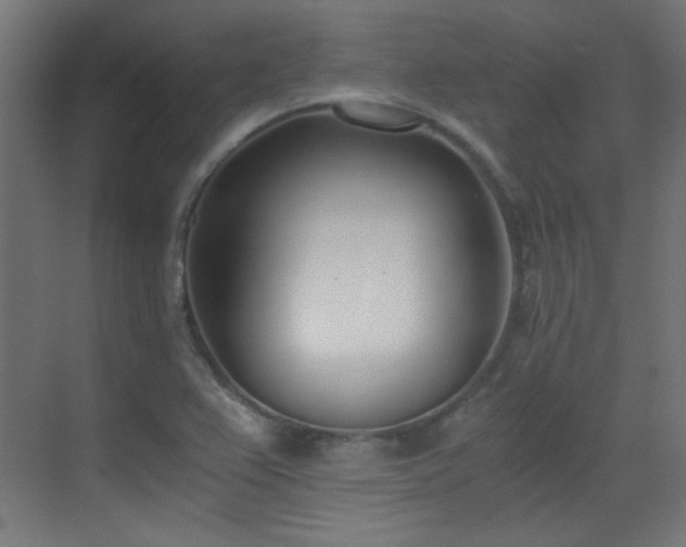 X0000073451367200607281210