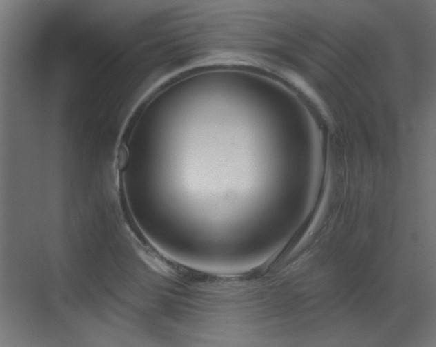 X0000073451372200607281210