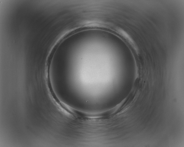 X0000073451376200607281210