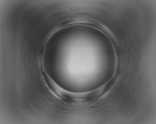 X0000073451377200607281210