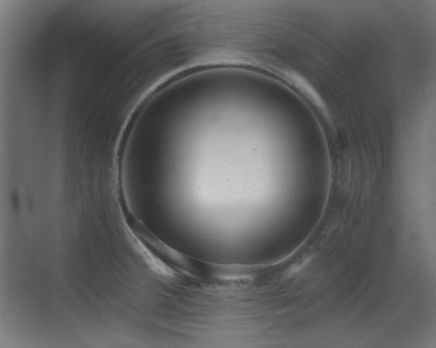 X0000073451380200607281209