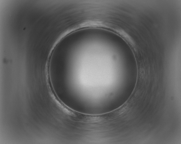 X0000073451382200607281209