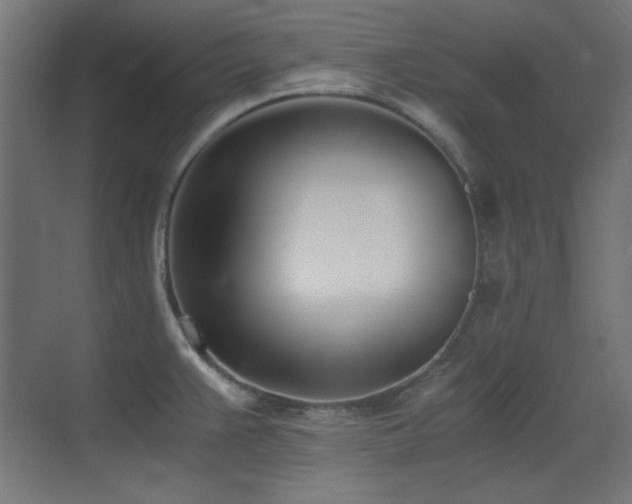 X0000073451383200607281209