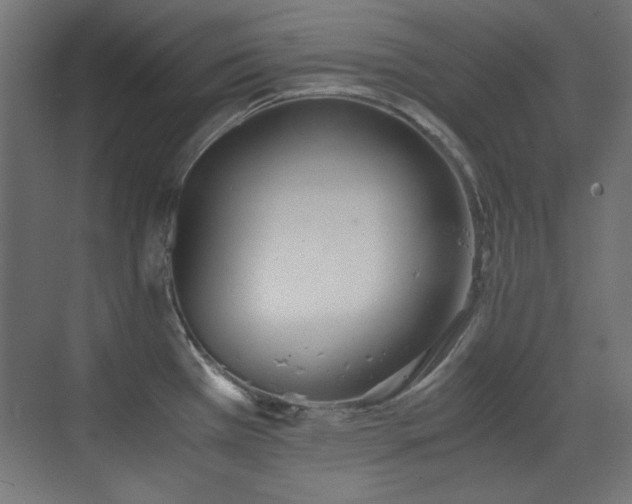 X0000073451385200607281209