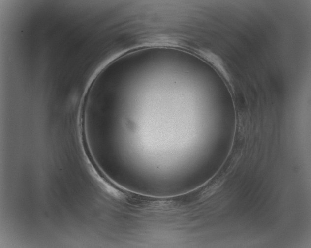 X0000073451387200607281209