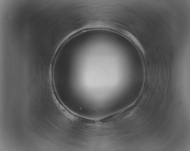 X0000073451388200607281209