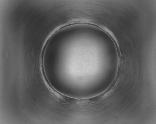 X0000073451389200607281209