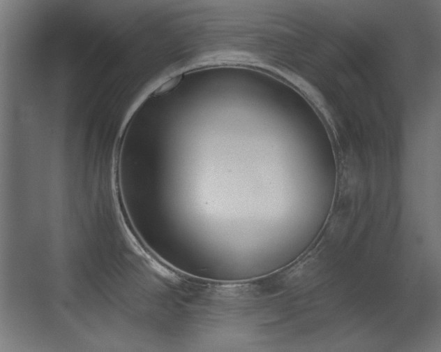 X0000073451390200607281209