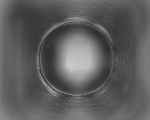 X0000073451391200607281209