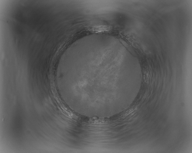 X0000073451393200607281208