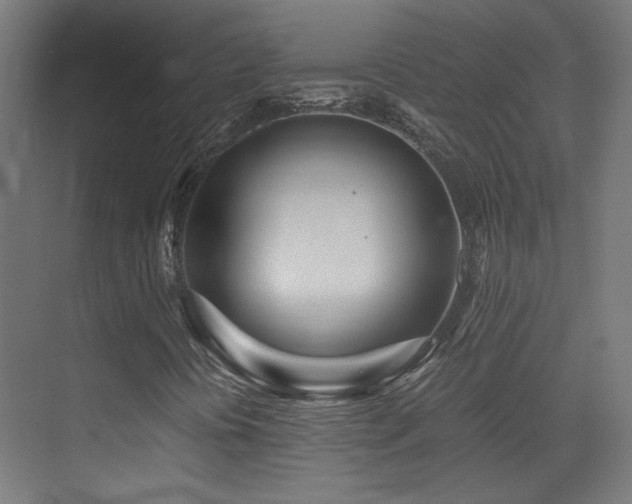 X0000073451394200607281209