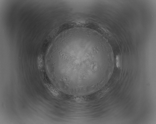 X0000073451395200607281209