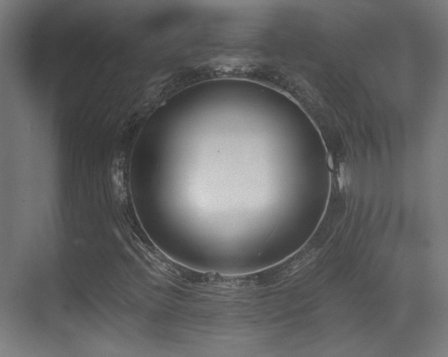 X0000073451396200607281209