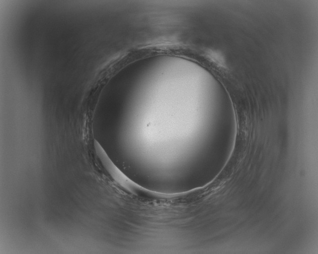 X0000073451398200607281209