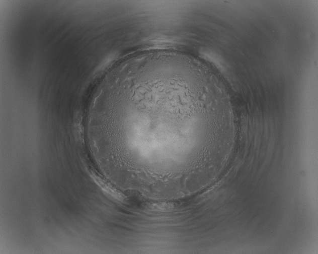 X0000073451403200607281209