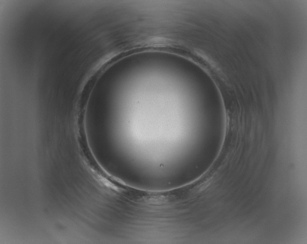 X0000073451410200607281209