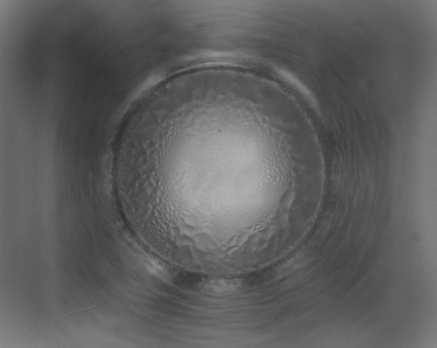 X0000073451411200607281209