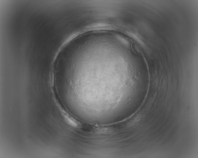 X0000073451413200607281209