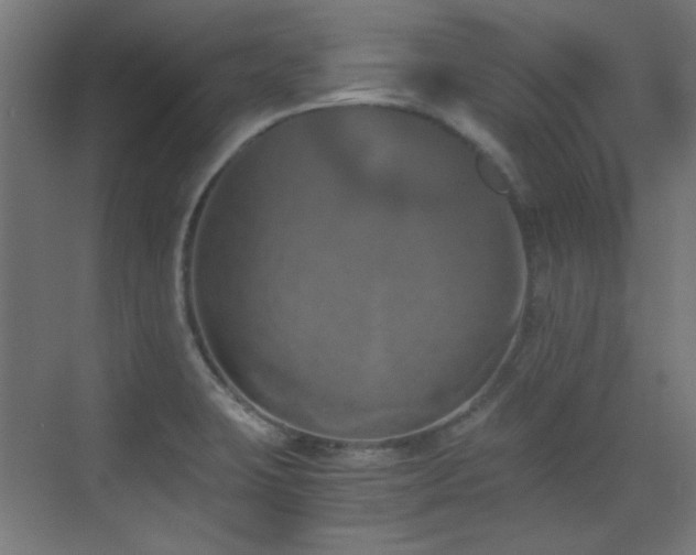 X0000073451423200607281209
