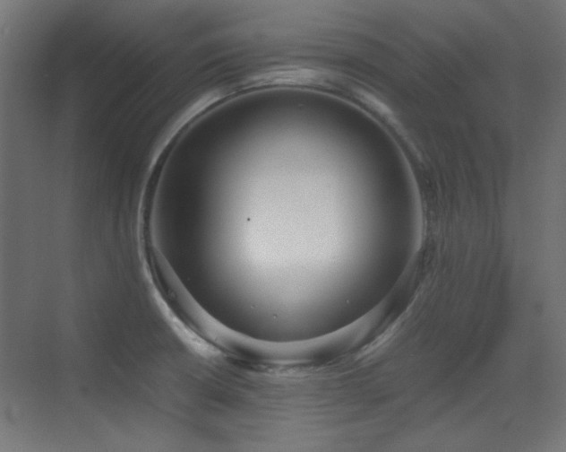 X0000073451426200607281209