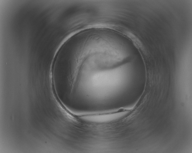 X0000073451428200607281209