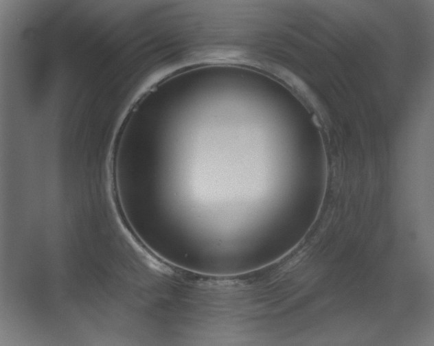 X0000073451432200607281209