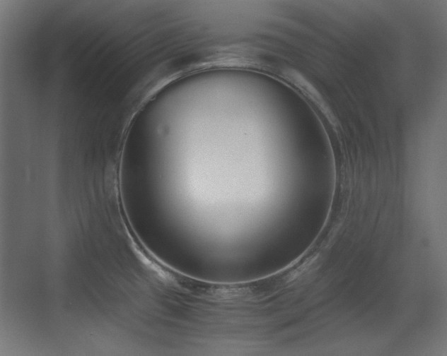 X0000073451433200607281209