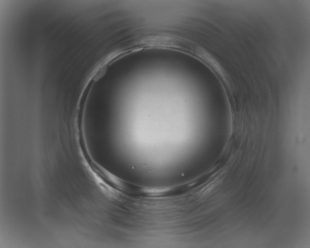 X0000073451434200607281209