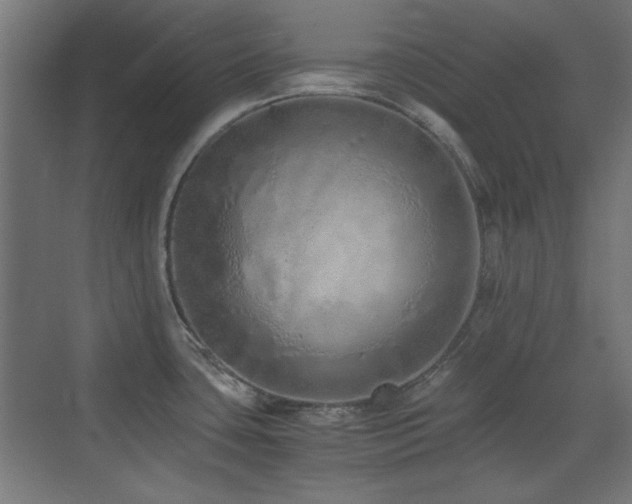 X0000073451435200607281209