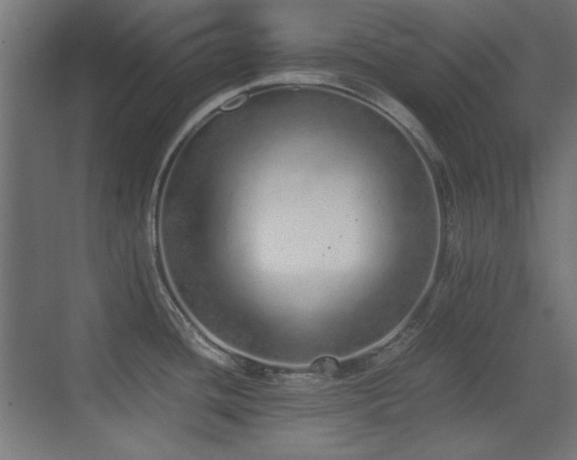 X0000073451436200607281209
