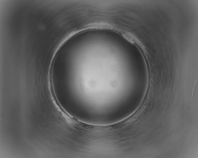 X0000073451440200607281209
