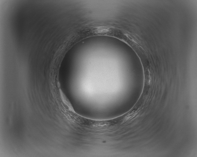 X0000073451441200607281208