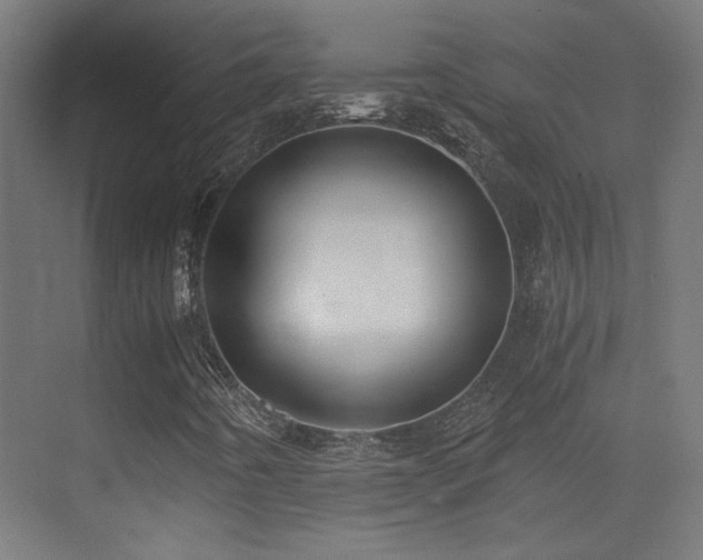 X0000073451442200607281208