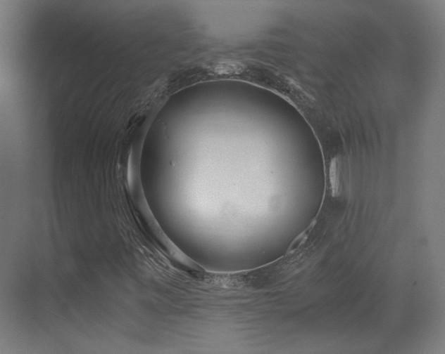 X0000073451443200607281208