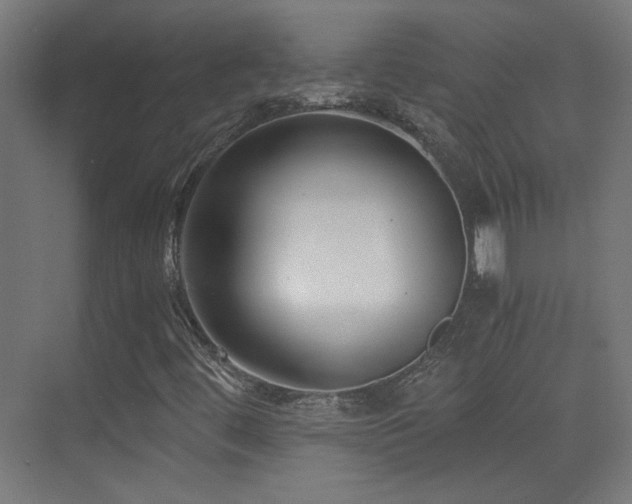 X0000073451444200607281208