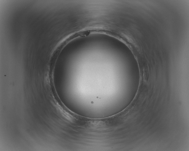 X0000073451452200607281208