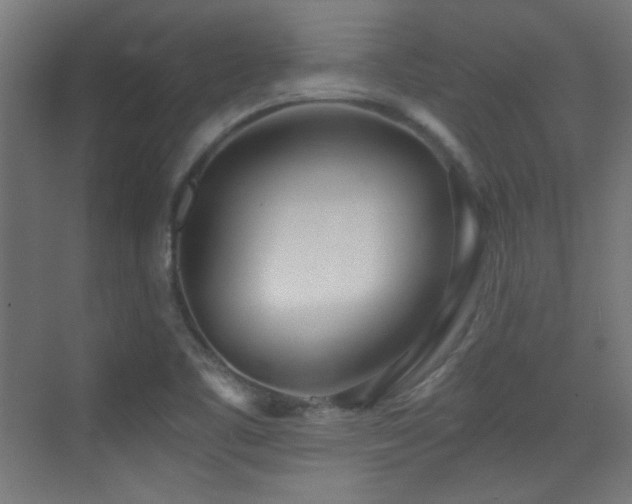 X0000073451461200607281208