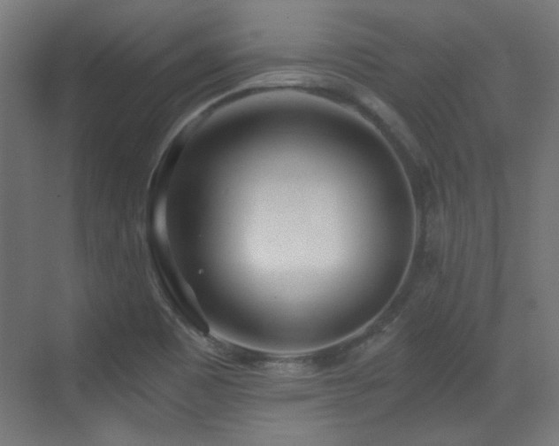 X0000073451465200607281208
