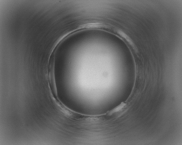 X0000073451473200607281208
