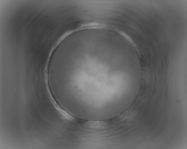 X0000073451474200607281208