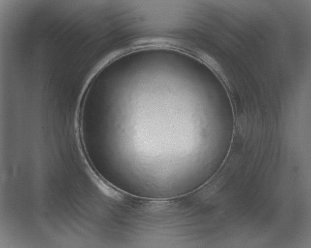 X0000073451482200607281208