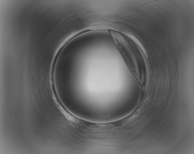 X0000073451485200607281208