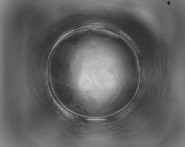 X0000073451487200607281208
