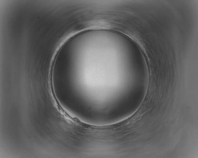 X0000073451488200607281208