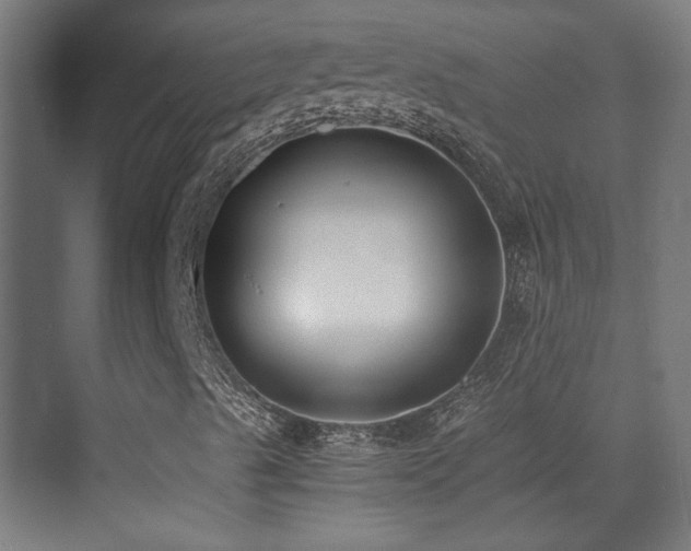 X0000073451489200607281207