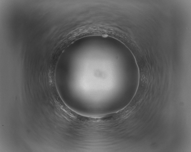 X0000073451490200607281207