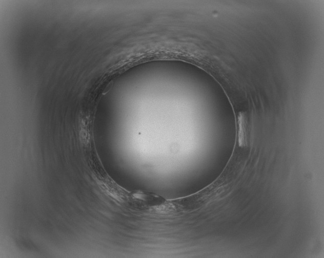 X0000073451491200607281207