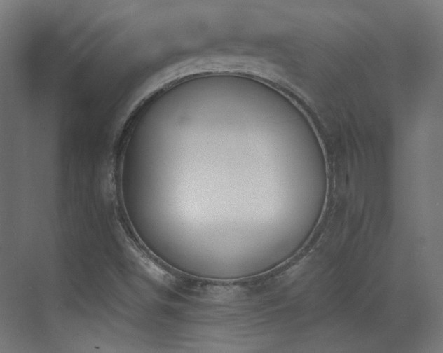X0000073451498200607281207
